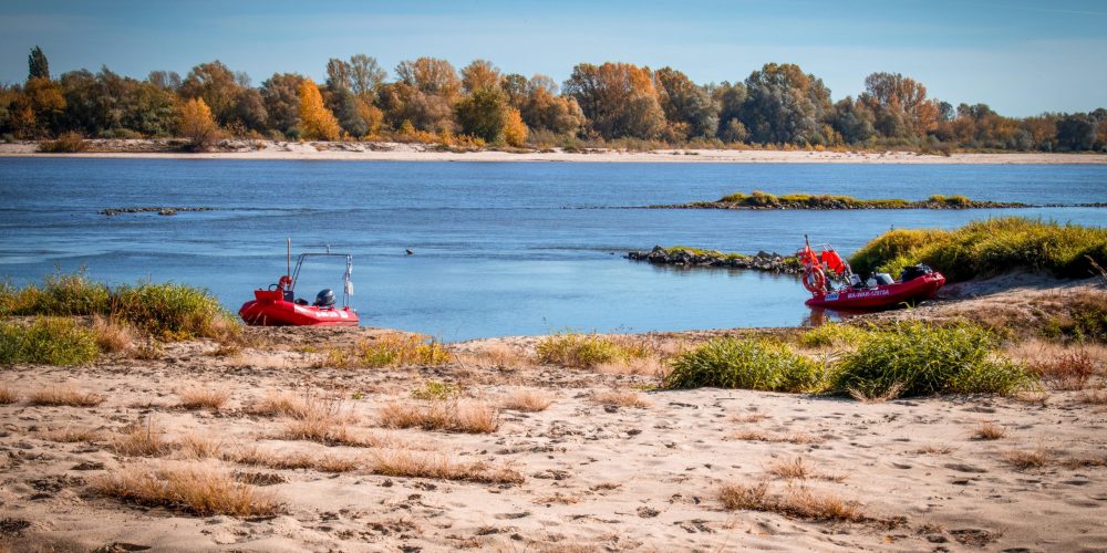 Cruise at the end of season 2020