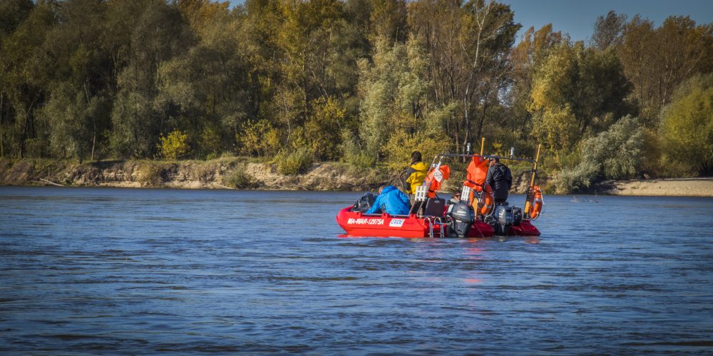 Cruise at the end of season 2019