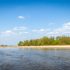Piaszczyste plaże wiślane na południe od Warszawy
