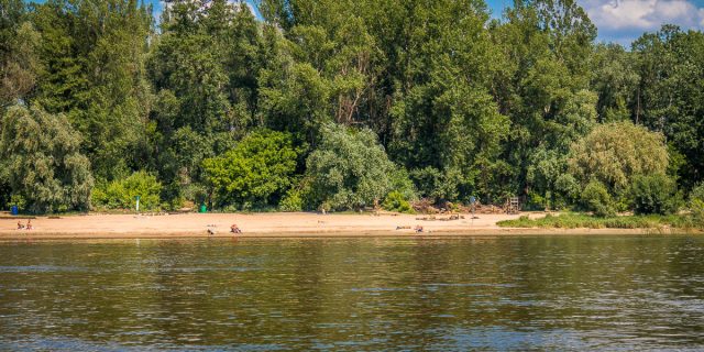 Jedna z wielu piaszczystch plaż w granicach Warszawy